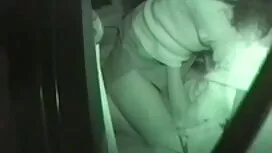 خمسة الكلبات الروسية ...