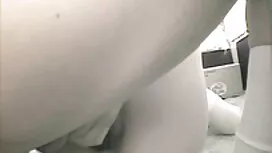 إدراج بونر الحجر في  ...