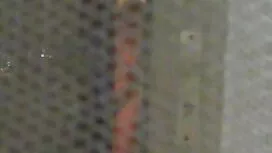 فحص سكسي اجنبية مترج ...