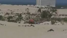 محلية الصنع سكسي اجن ...